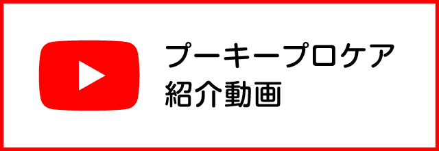 youtube動画